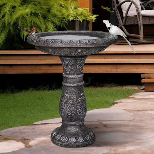 Black Bird Baths You'll Love | Wayfair